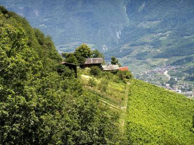 beudon6.jpg