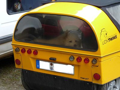 Twike mit Bio-Alarmanlage
Löwe oder Hund?
