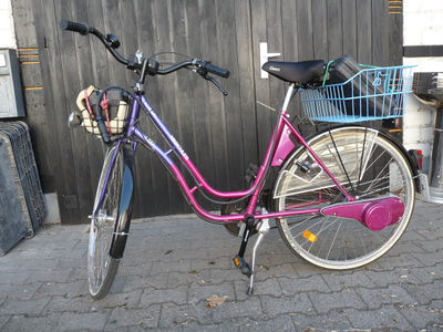 Electra mit 2. Akkusatz im Gepäckträger
Electra mit 2. Akkusatz im Gepäckträger
