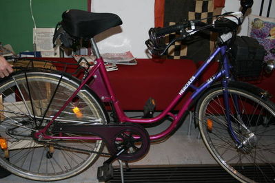 Hercules Electra
Elektrofahrrad von 1991
