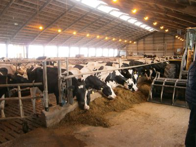 Rohstoff - lieferanten für das Eis
